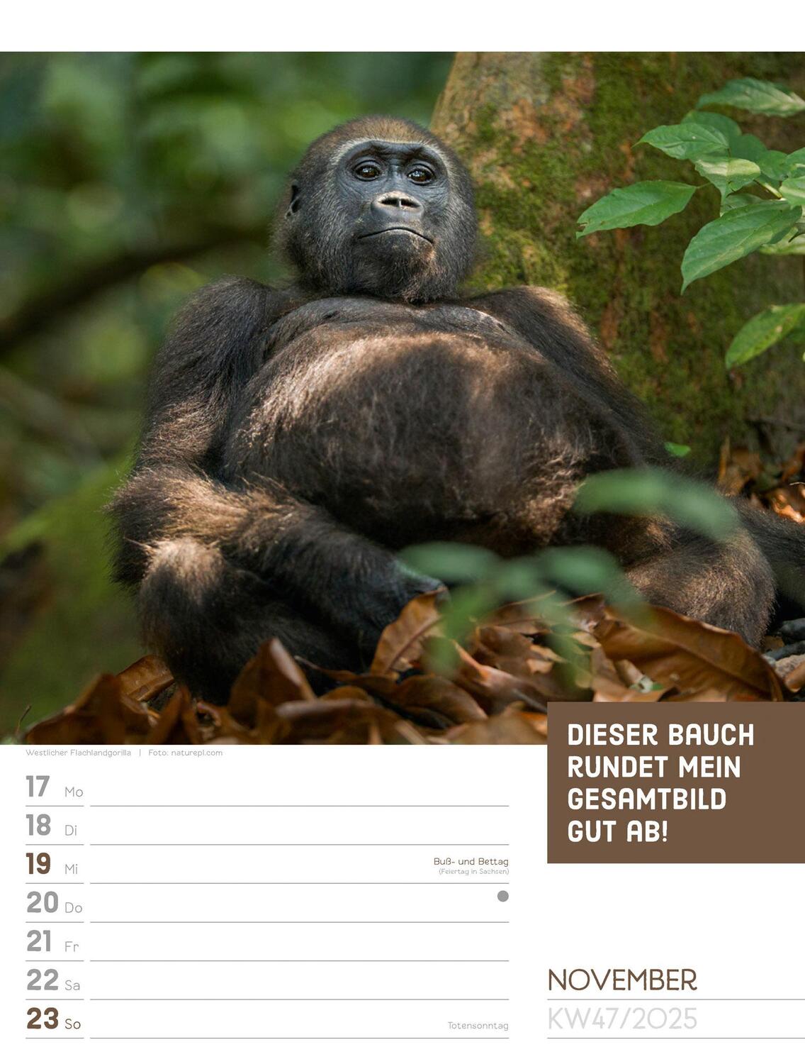 Bild: 9783838425962 | Tierisch! Sprüchekalender - Wochenplaner Kalender 2025 | Kunstverlag