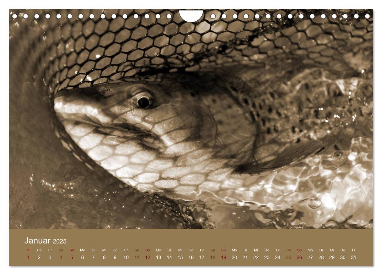 Bild: 9783435665747 | Fliegenfischen (Wandkalender 2025 DIN A4 quer), CALVENDO...