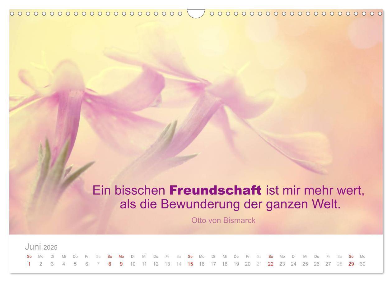 Bild: 9783435480746 | Zauberhafte Sprüche - Bunte Seelenblüten (Wandkalender 2025 DIN A3...