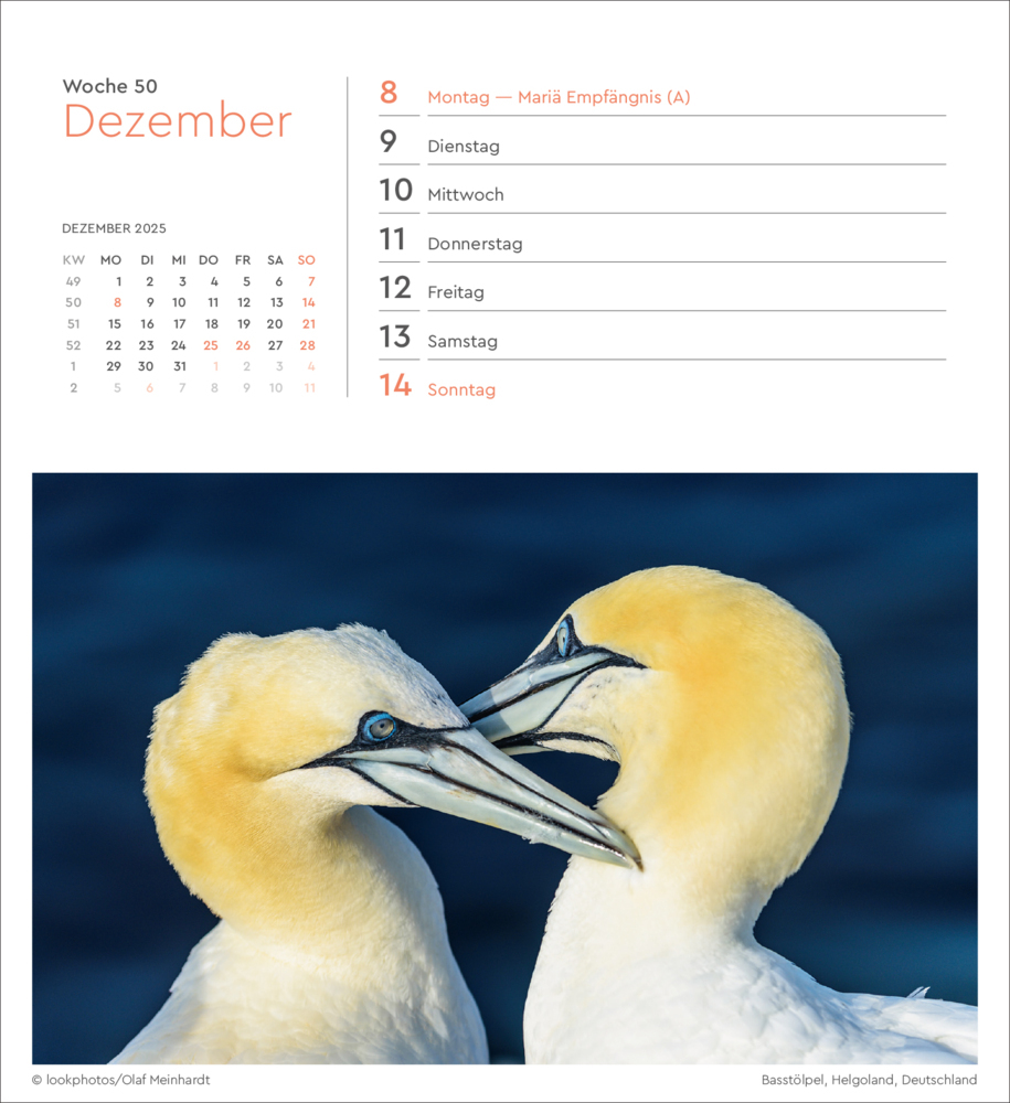 Bild: 9783965913899 | Nordseeküste - KUNTH Postkartenkalender 2025 | Kalender | 53 S. | 2025