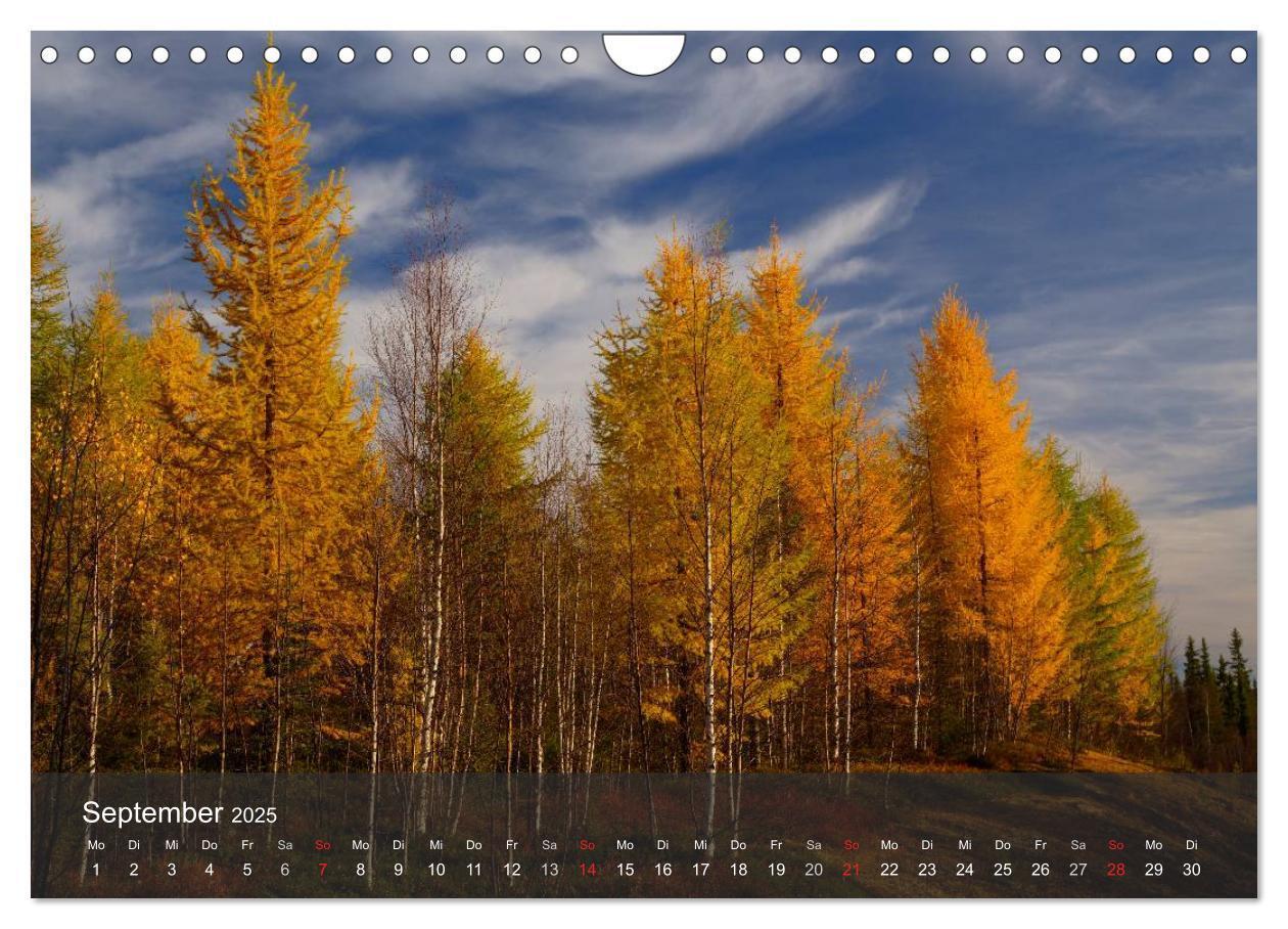 Bild: 9783435777730 | Lappland 2025 (Wandkalender 2025 DIN A4 quer), CALVENDO Monatskalender