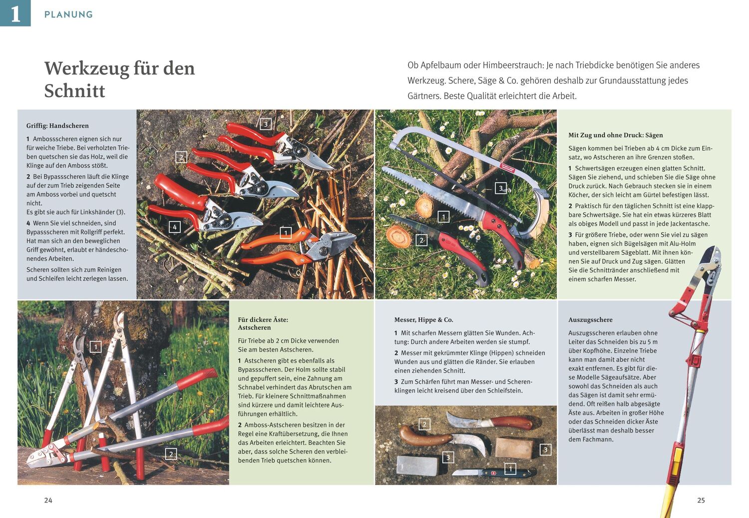 Bild: 9783833894954 | Obstgehölze schneiden | Schritt für Schritt zu reicher Ernte | Haas