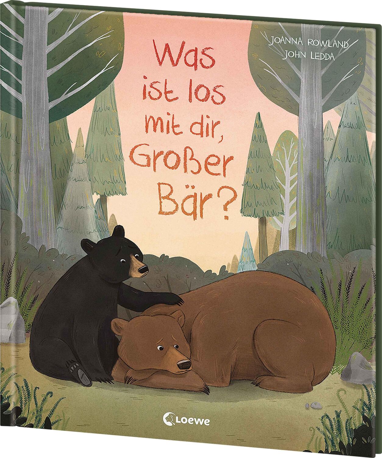 Cover: 9783743216679 | Was ist los mit dir, Großer Bär? | Joanna Rowland | Buch | 32 S.