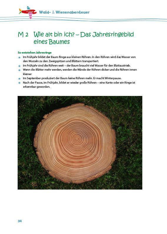 Bild: 9783960460640 | Weltentdecker: Wald- &amp; Wiesenabenteuer | Taschenbuch | Weltentdecker