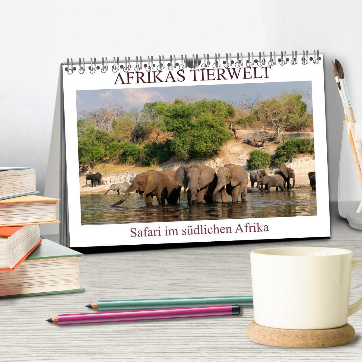 Bild: 9783435118427 | Afrikas Tierwelt, Safari im südlichen Afrika (Tischkalender 2025...