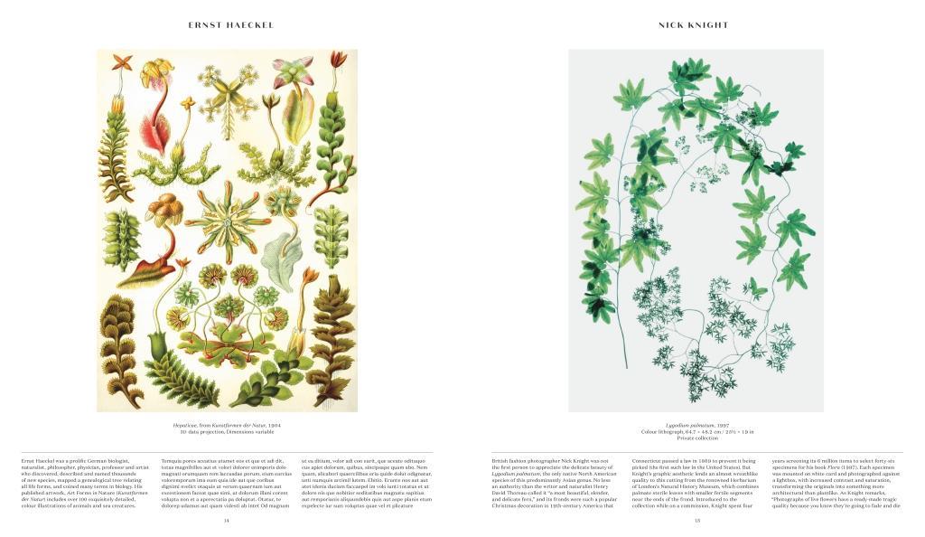 Bild: 9780714871486 | Plant: Exploring the Botanical World | Phaidon Editors | Buch | 352 S.