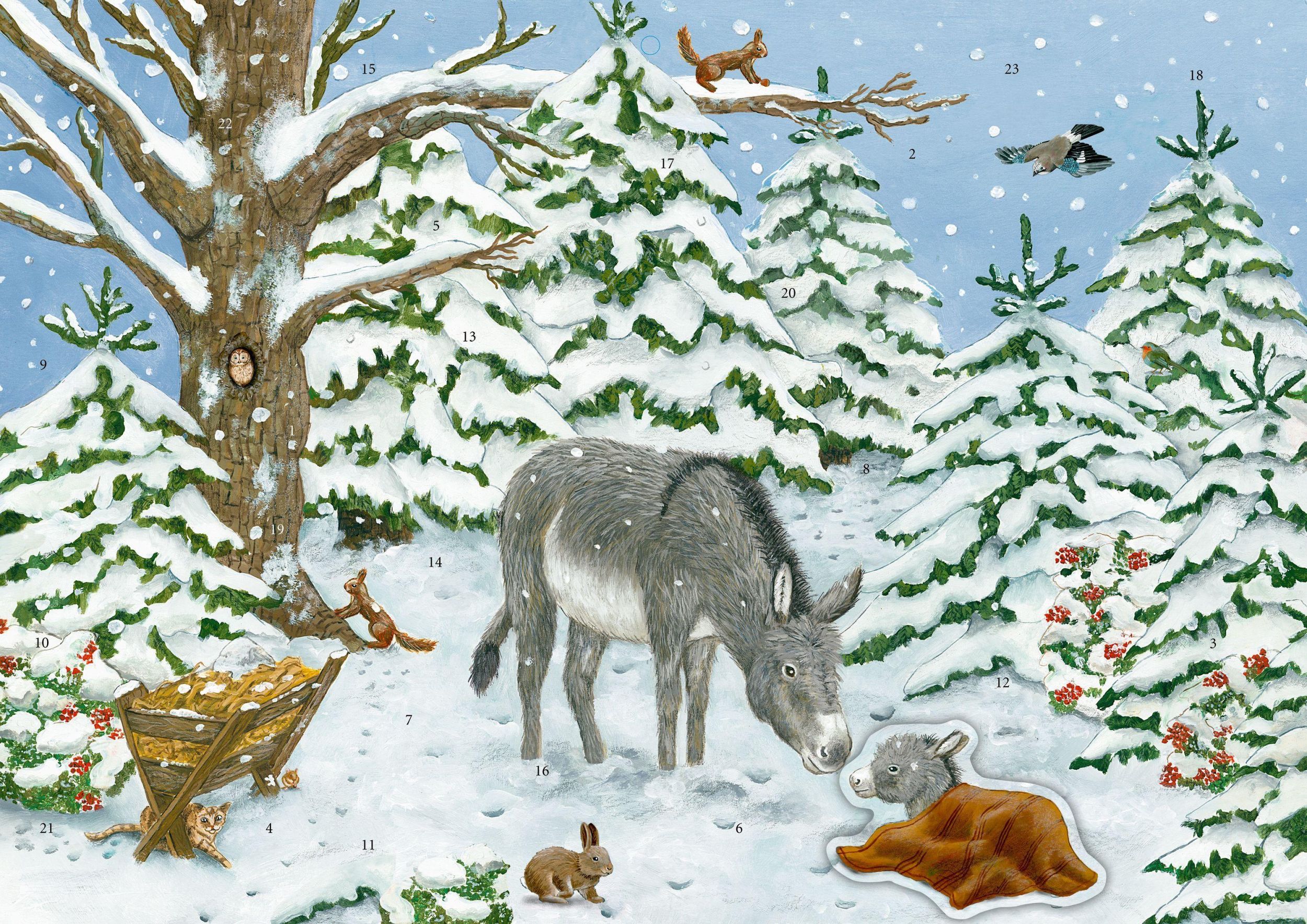 Cover: 4050003955964 | Sticker-Adventskalender - Eselchen im Winterwald | Christine Schmiech