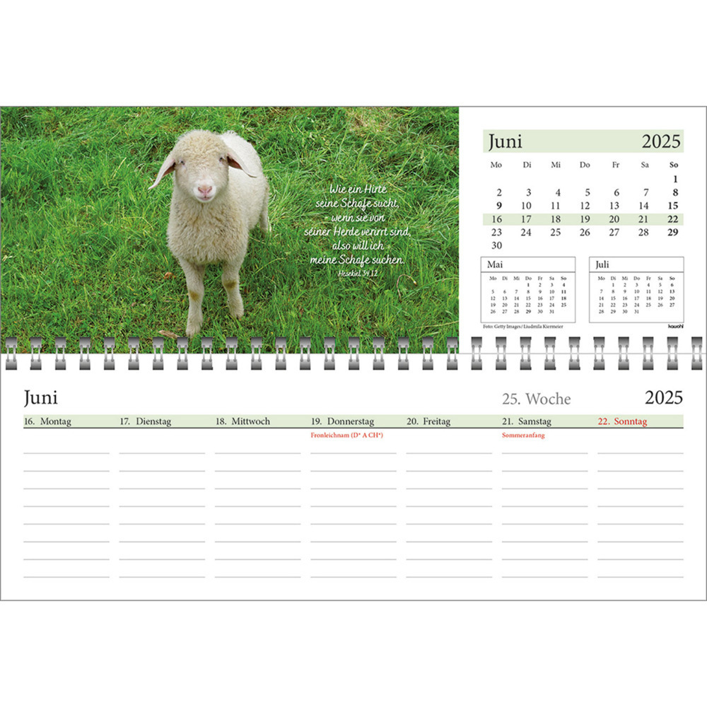 Bild: 9783754825457 | In deine Hand leg ich den Tag 2025 | Wochen-Tischkalender | Kalender