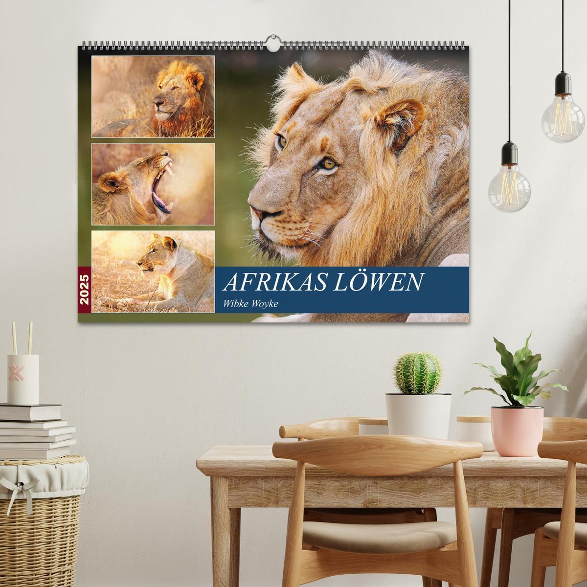 Bild: 9783435329151 | Afrikas Löwen 2025 (Wandkalender 2025 DIN A2 quer), CALVENDO...