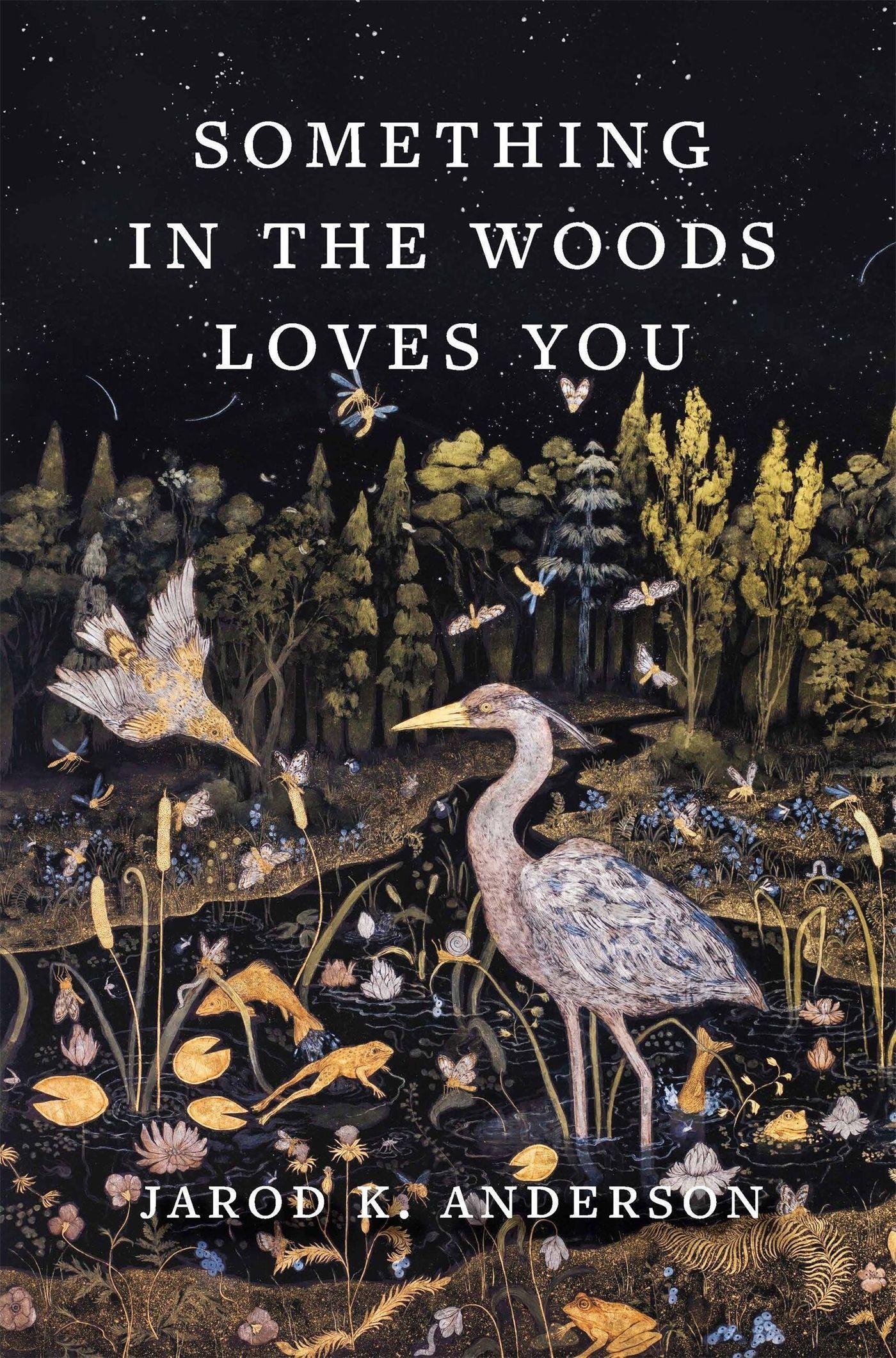 Cover: 9781643262291 | Something in the Woods Loves You | Jarod K Anderson | Buch | Englisch