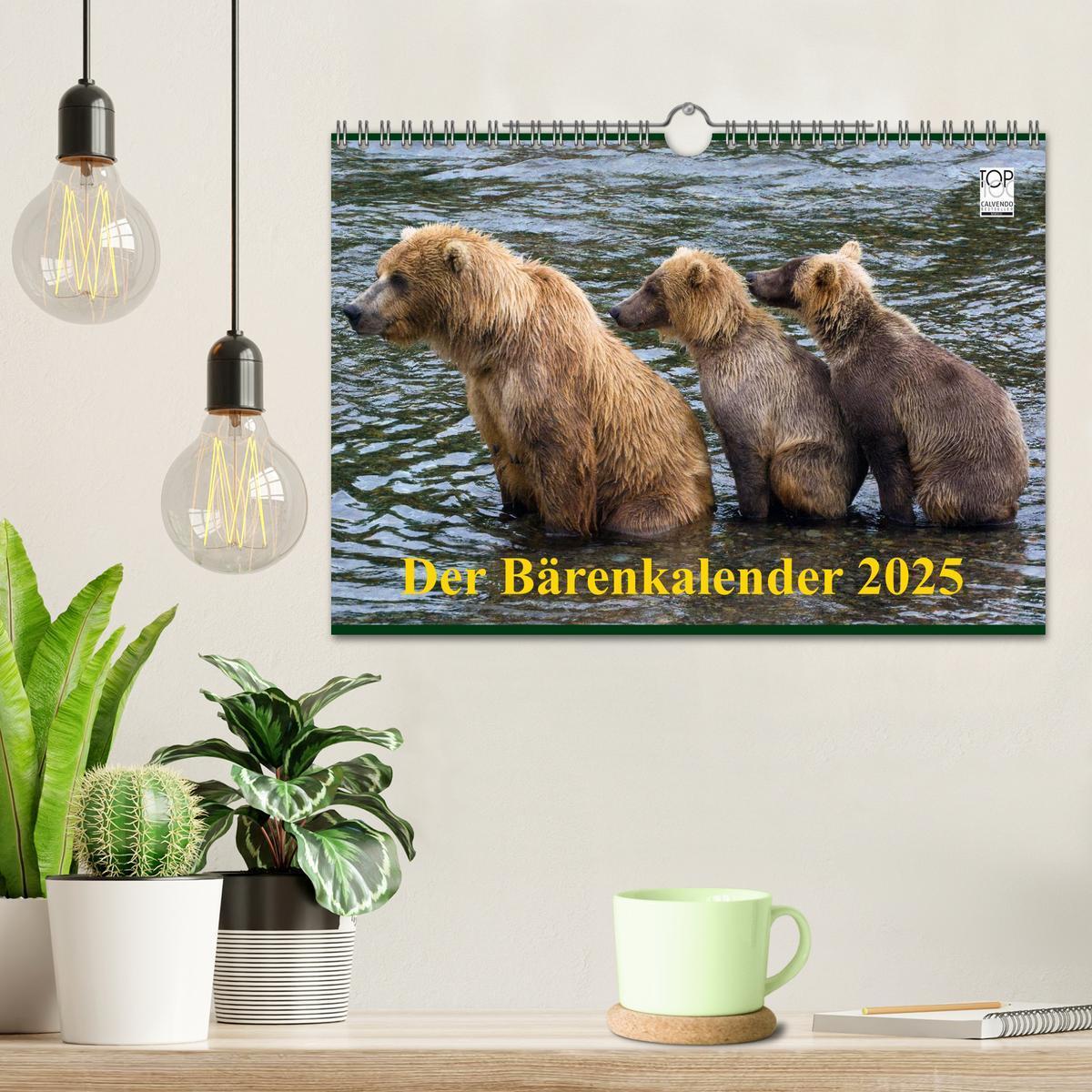 Bild: 9783435821488 | Der Bärenkalender 2025 (Wandkalender 2025 DIN A4 quer), CALVENDO...