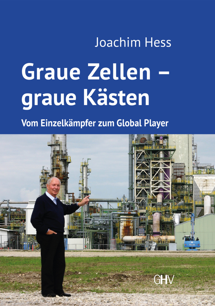 Cover: 9783873367197 | Graue Zellen - graue Kästen | Vom Einzelkämpfer zum Global Player