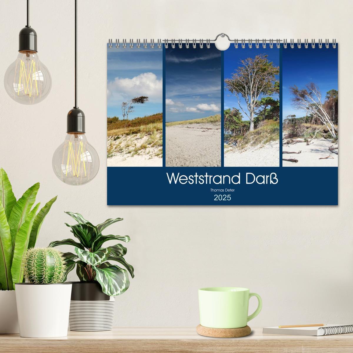 Bild: 9783435782390 | Weststrand Darß (Wandkalender 2025 DIN A4 quer), CALVENDO...