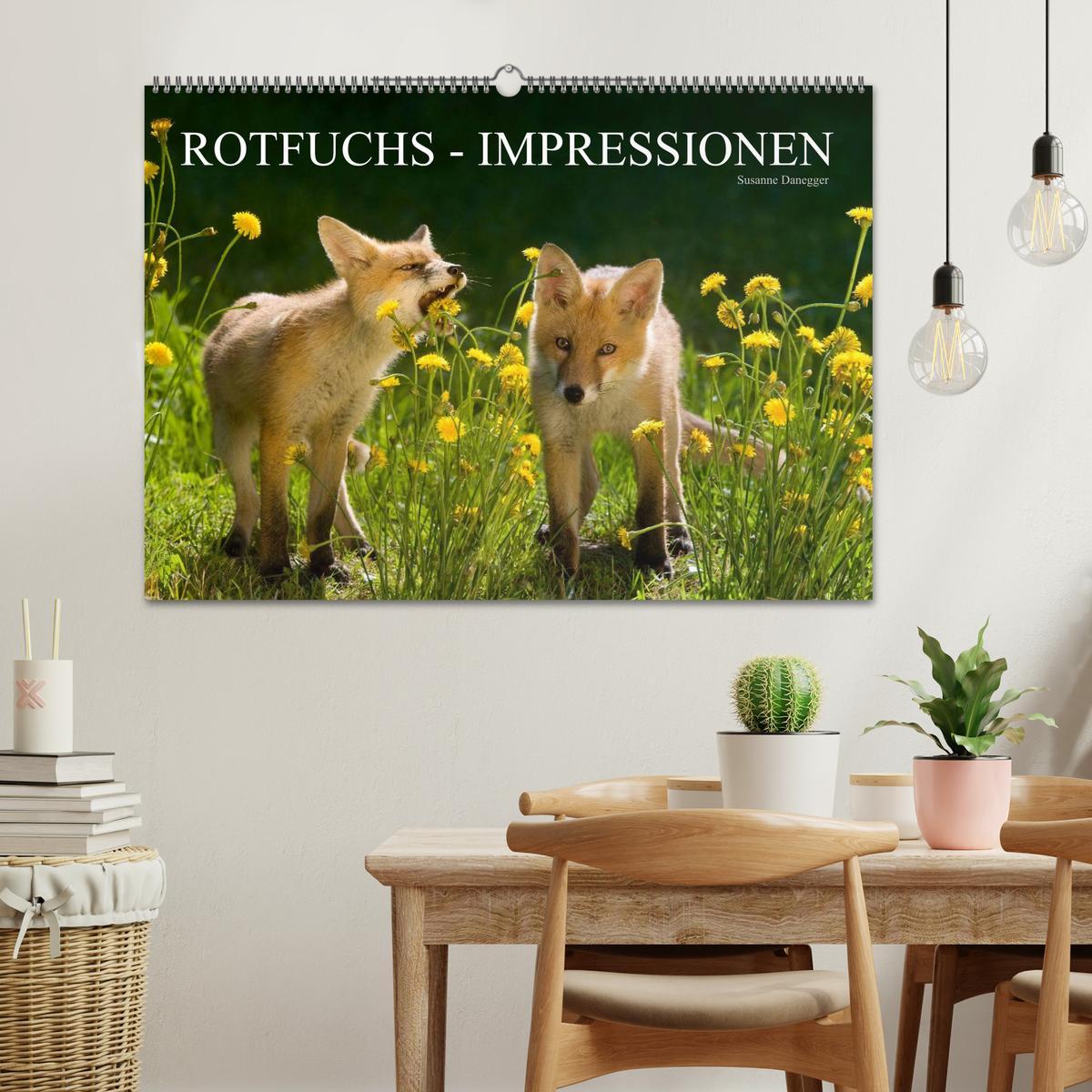 Bild: 9783435823307 | Rotfuchs - Impressionen (Wandkalender 2025 DIN A2 quer), CALVENDO...