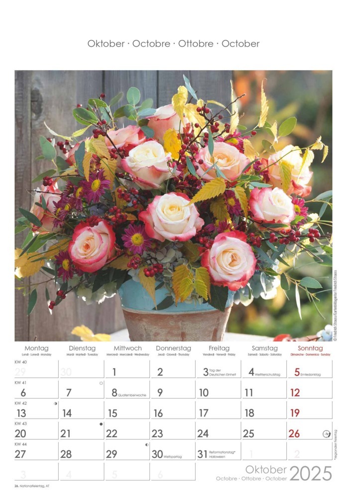 Bild: 4251732340995 | Alpha Edition - Rosenträume 2025 Bildkalender, 23,7x34cm,...