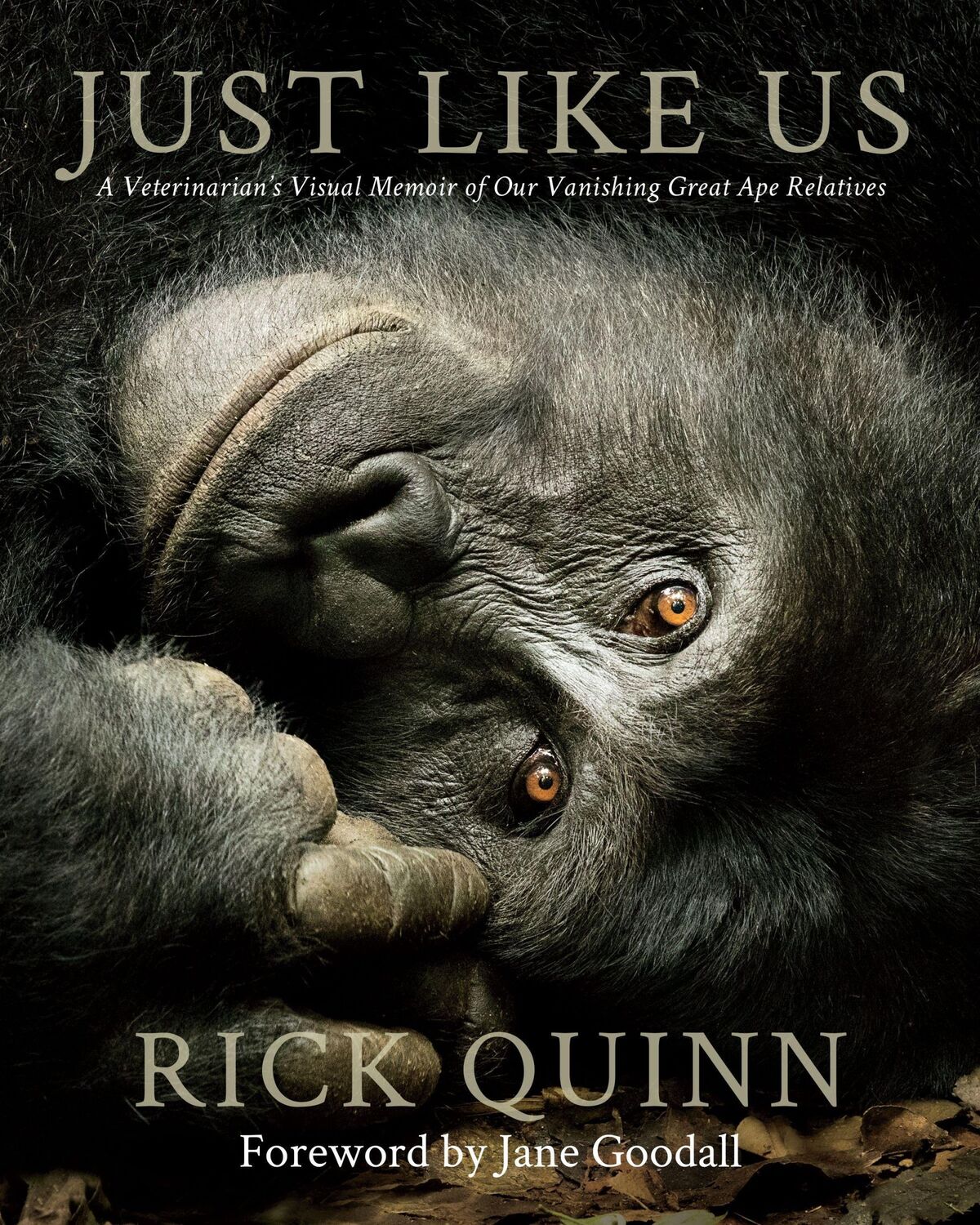 Cover: 9781734880212 | Just Like Us | Rick Quinn | Buch | Gebunden | Englisch | 2021