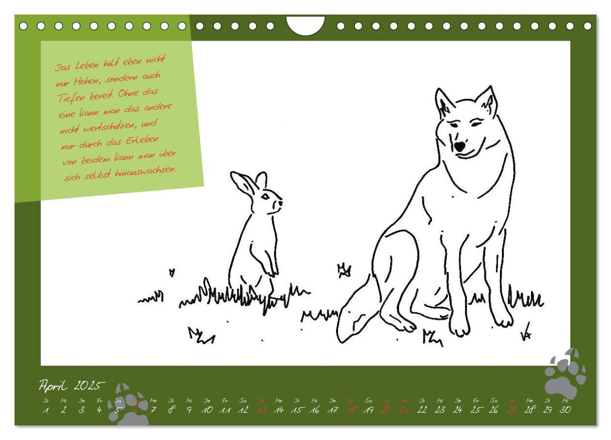 Bild: 9783435726660 | Der kleine GROSSE Wolf - Kalender (Wandkalender 2025 DIN A4 quer),...