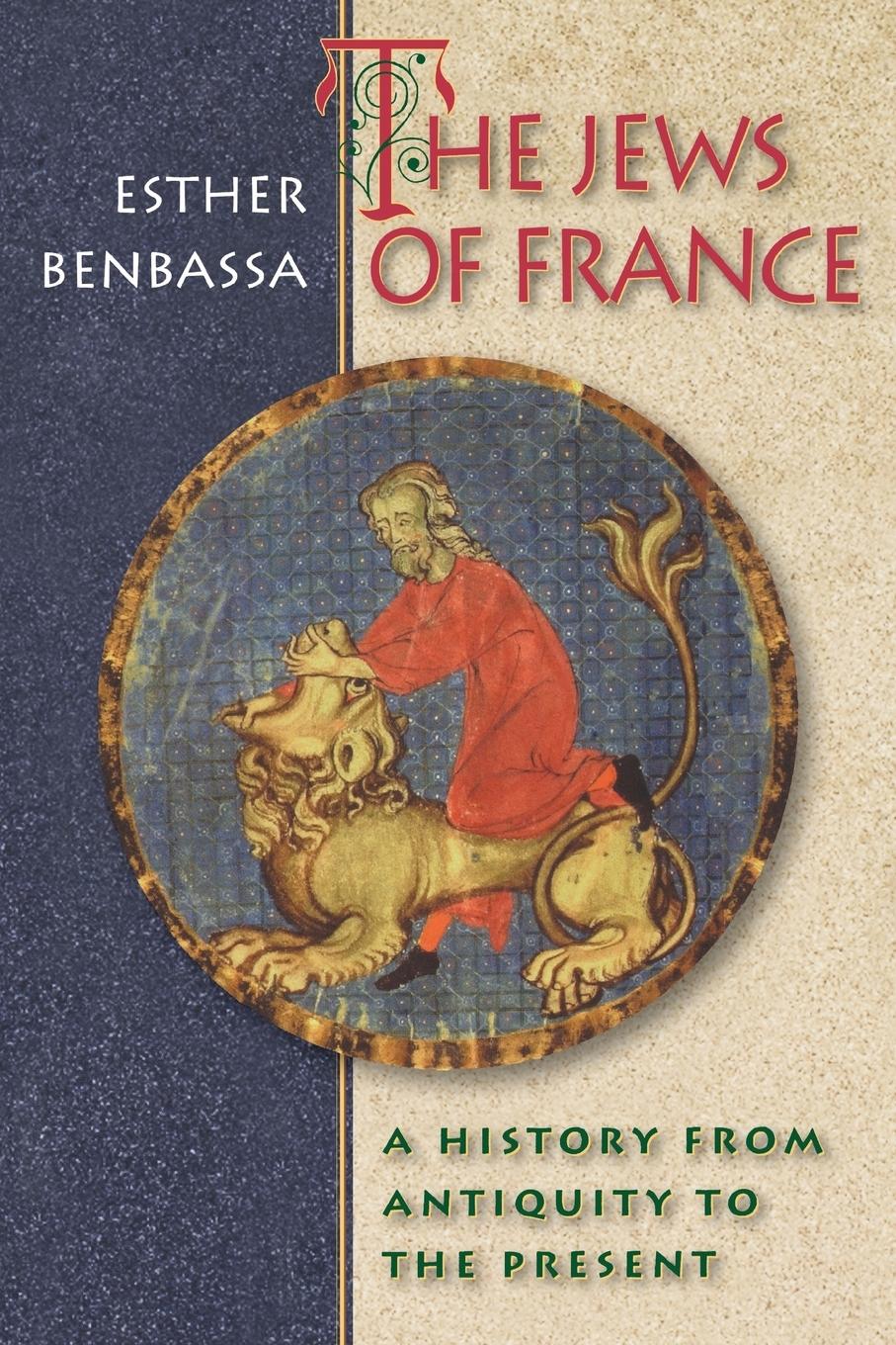 Cover: 9780691090146 | The Jews of France | A History from Antiquity to the Present | Buch