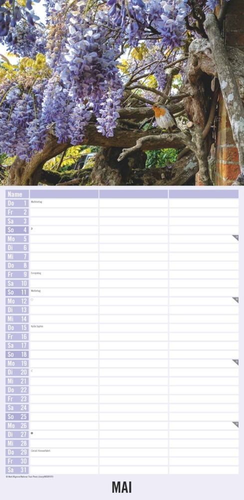 Bild: 4251732343262 | Alpha Edition - Gartenzauber 2025 Streifenplaner, 22x45cm, Kalender...