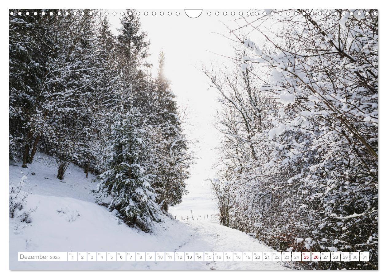 Bild: 9783435139255 | Eifel Sehnsucht (Wandkalender 2025 DIN A3 quer), CALVENDO...