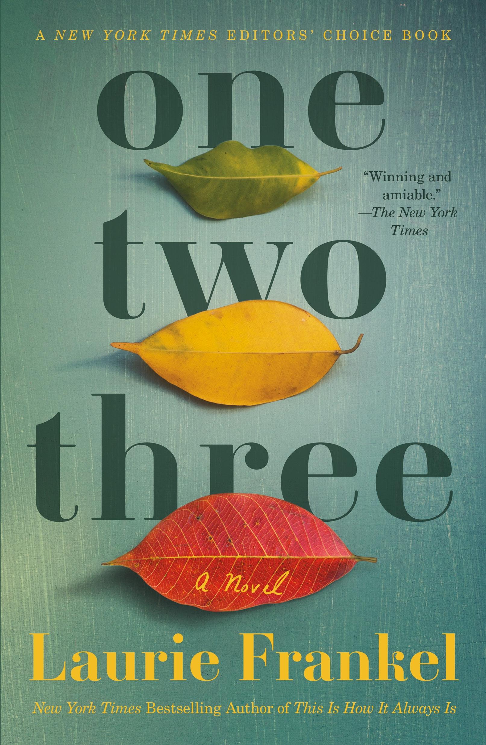 Cover: 9781250236791 | One Two Three | Laurie Frankel | Taschenbuch | Kartoniert / Broschiert