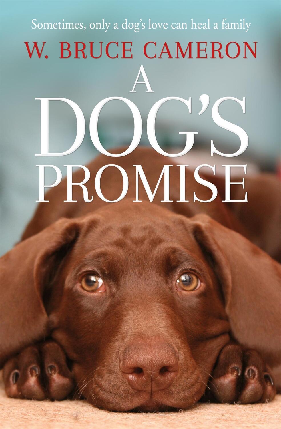 Cover: 9781529010084 | A Dog's Promise | W. Bruce Cameron | Taschenbuch | Englisch | 2019