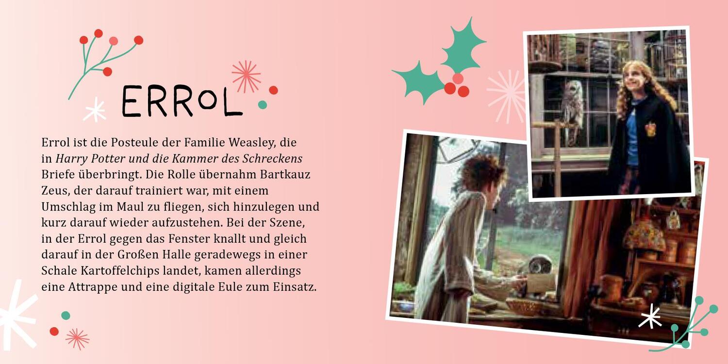 Bild: 9783833243479 | Aus den Filmen zu Harry Potter: Magische Weihnachten - Der...