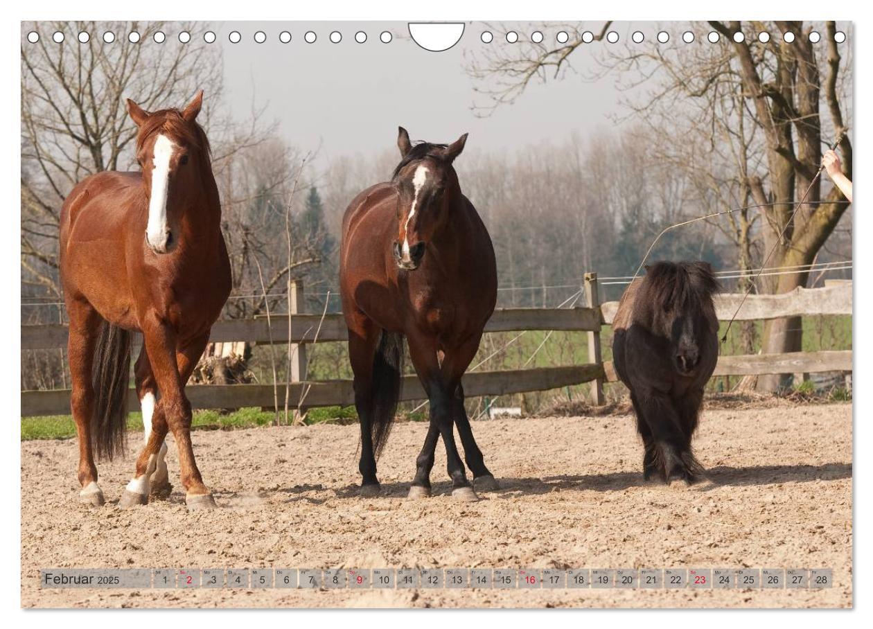 Bild: 9783435594160 | Natural Horsemanship - Partnerschaft mit Pferden (Wandkalender 2025...