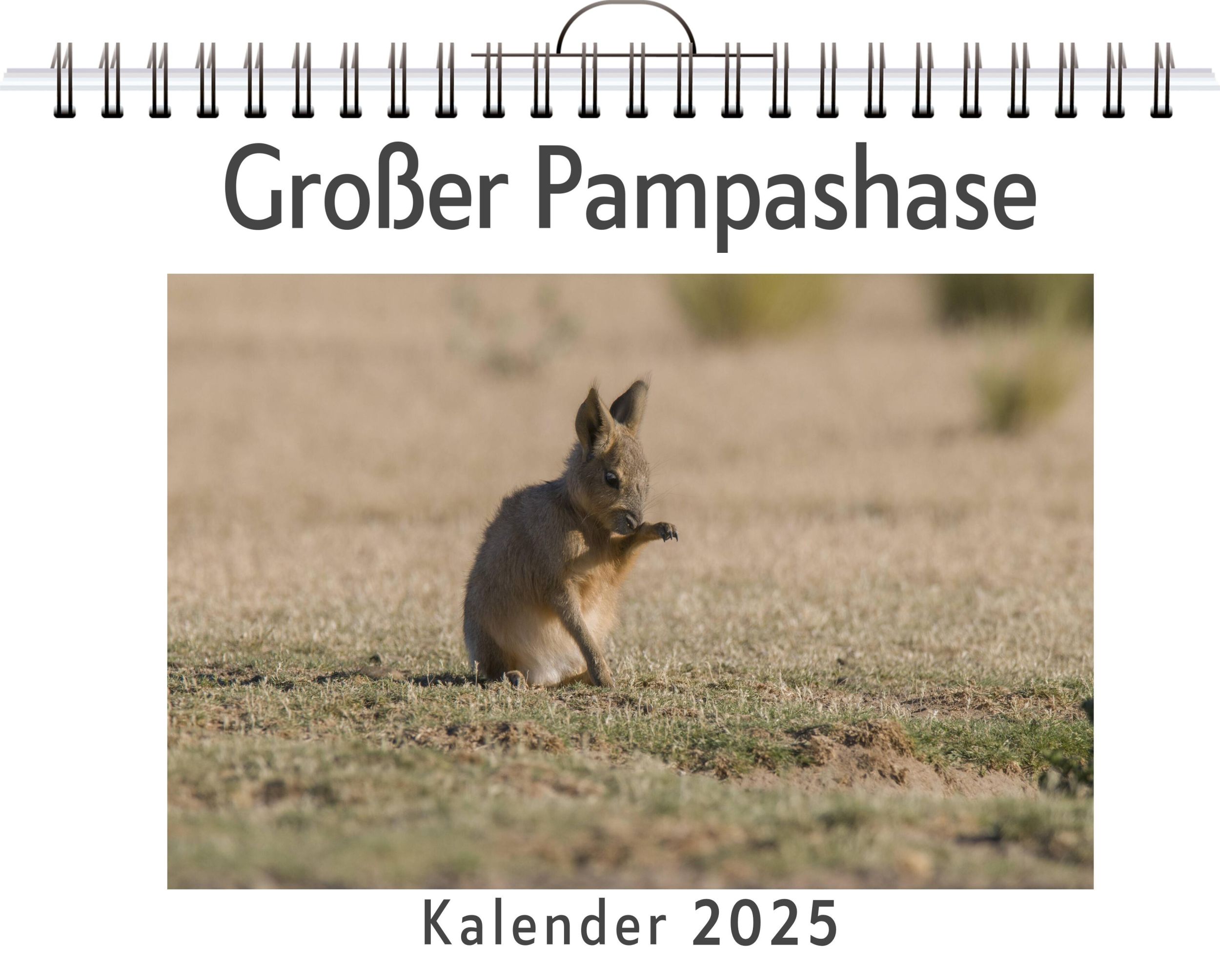 Cover: 9783759124098 | Großer Pampashase | Theo Fischer | Kalender | Kalender | 14 S.