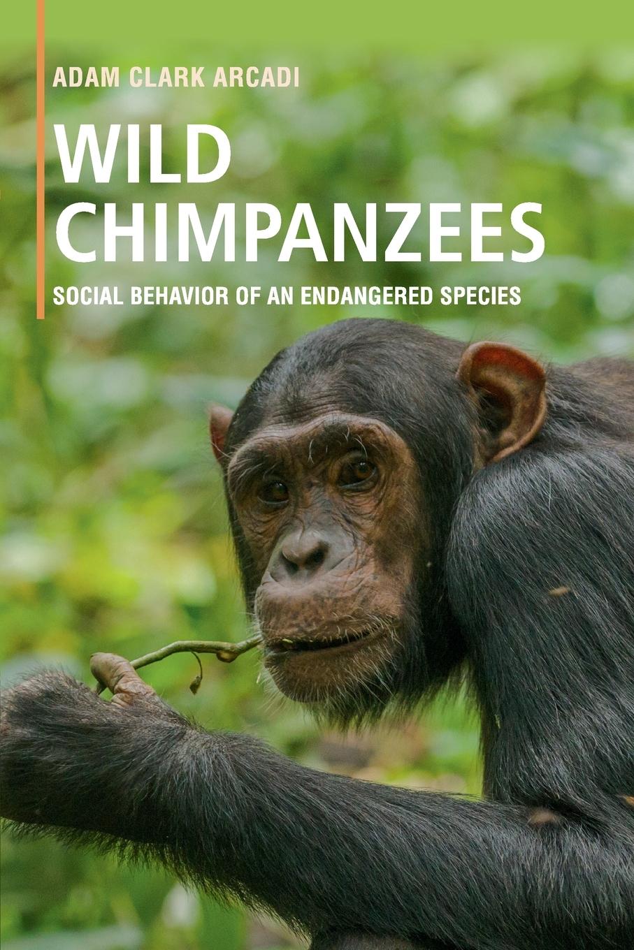 Cover: 9781316647561 | Wild Chimpanzees | Adam Clark Arcadi | Taschenbuch | Englisch | 2019