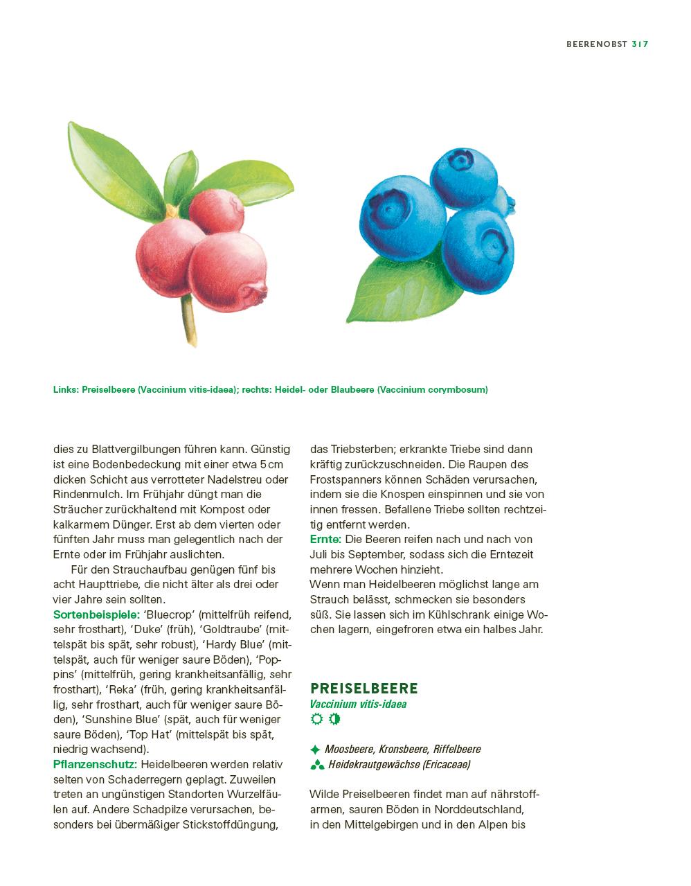 Bild: 9783747109120 | Das große Gemüse- und Obstgartenbuch | Joachim Mayer | Taschenbuch