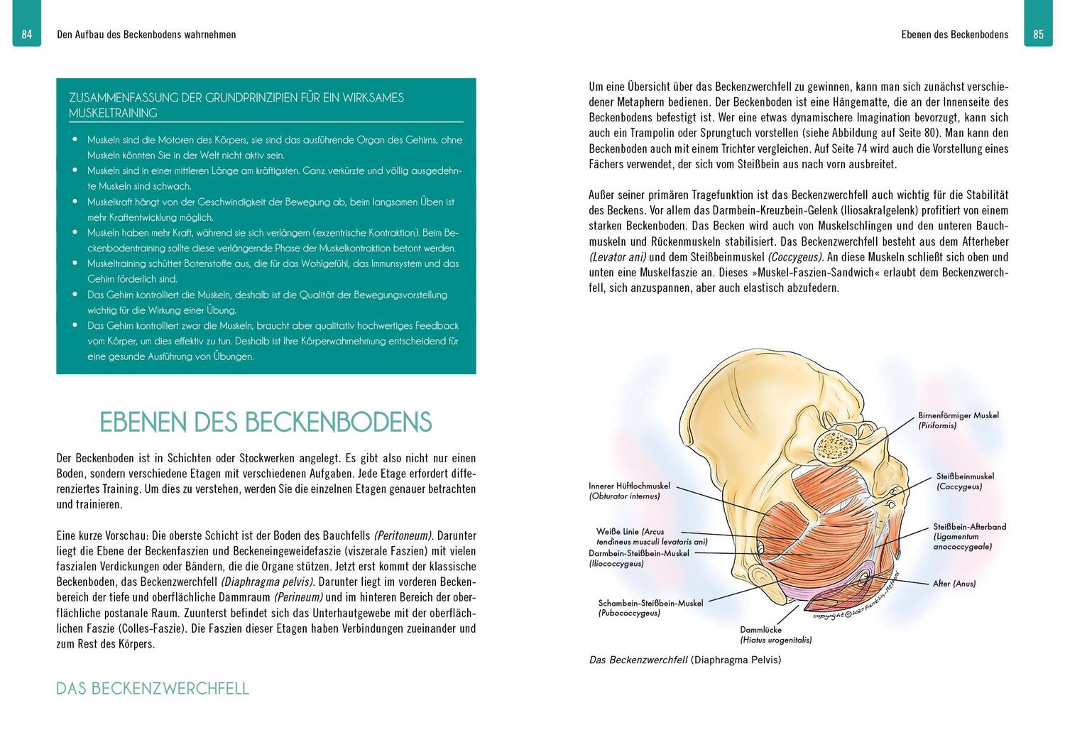 Bild: 9783742324580 | Beckenbodenpower | Eric N. Franklin | Taschenbuch | 160 S. | Deutsch