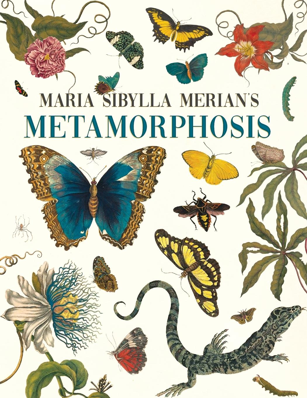 Cover: 9781528723916 | Maria Sibylla Merian's Metamorphosis | Emily Gillis | Taschenbuch