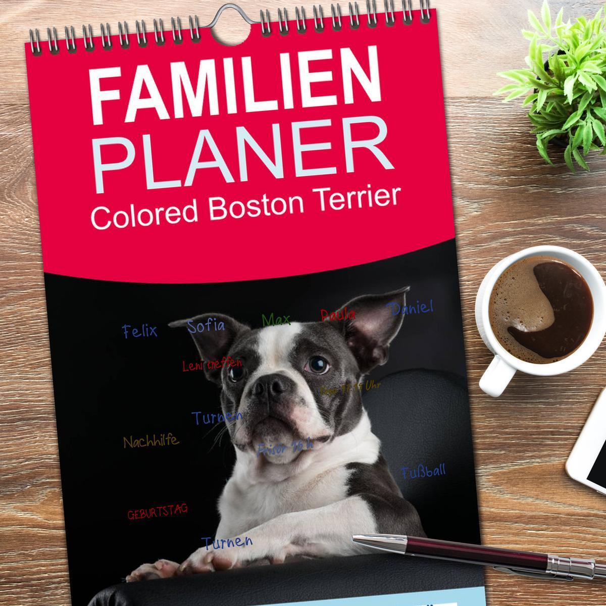 Bild: 9783457104880 | Familienplaner 2025 - Colored Boston Terrier 2025 mit 5 Spalten...