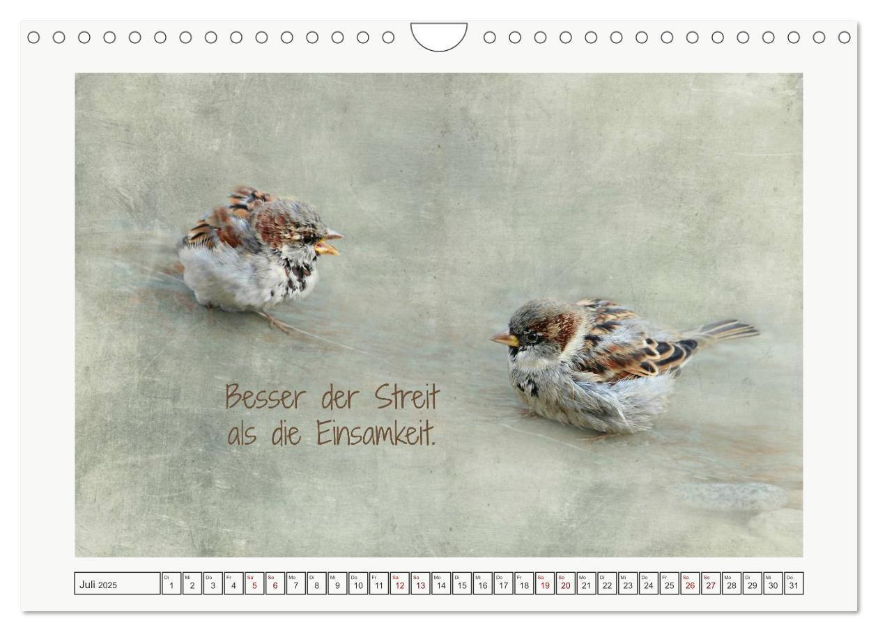 Bild: 9783435724468 | Irische Segenswünsche (Wandkalender 2025 DIN A4 quer), CALVENDO...