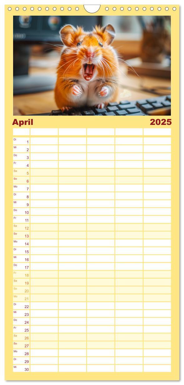 Bild: 9783457193341 | Familienplaner 2025 - Lustige Hamster mit 5 Spalten (Wandkalender,...