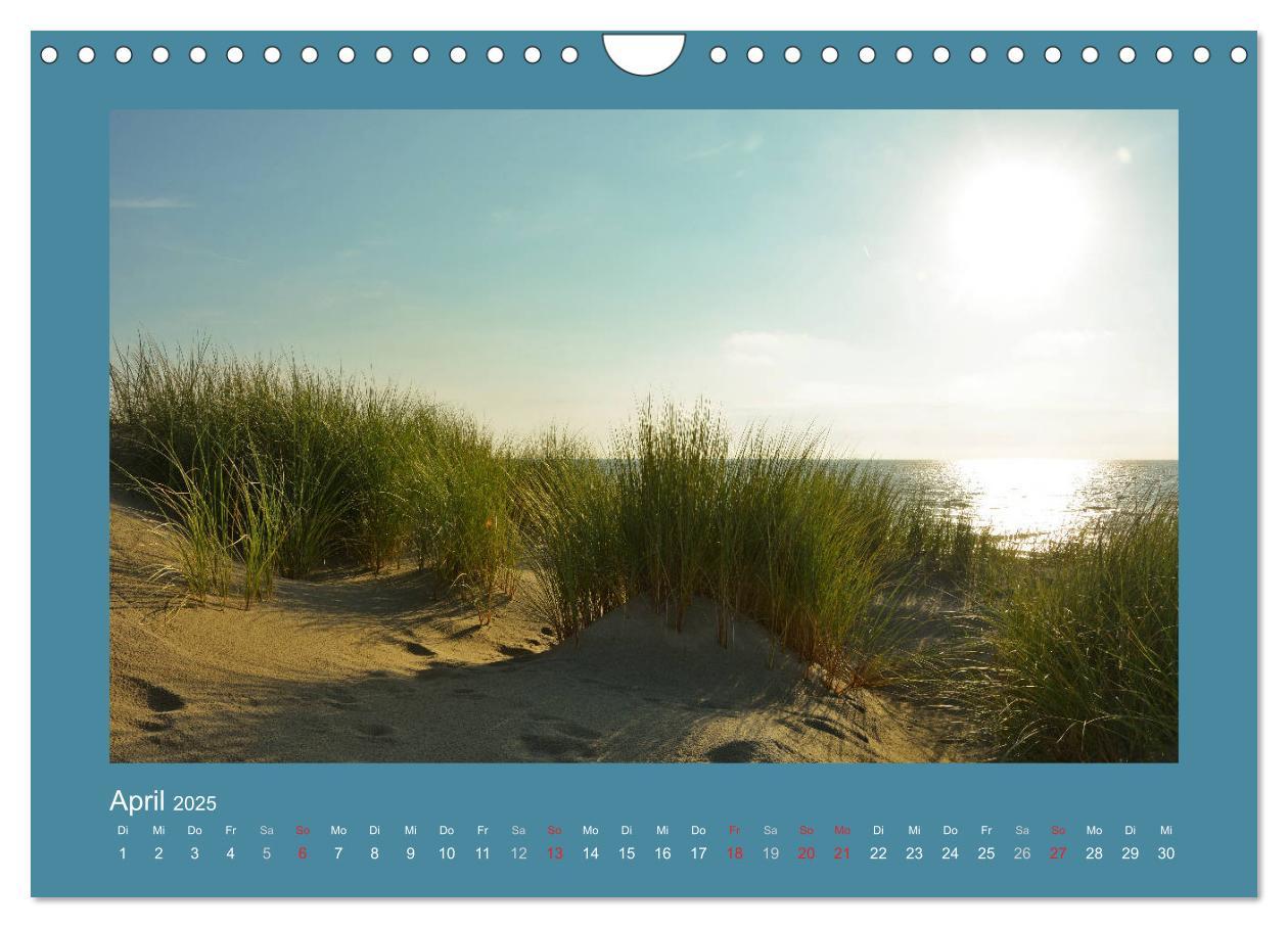 Bild: 9783435276707 | Sanddünen an der Nordsee in den Niederlanden (Wandkalender 2025 DIN...