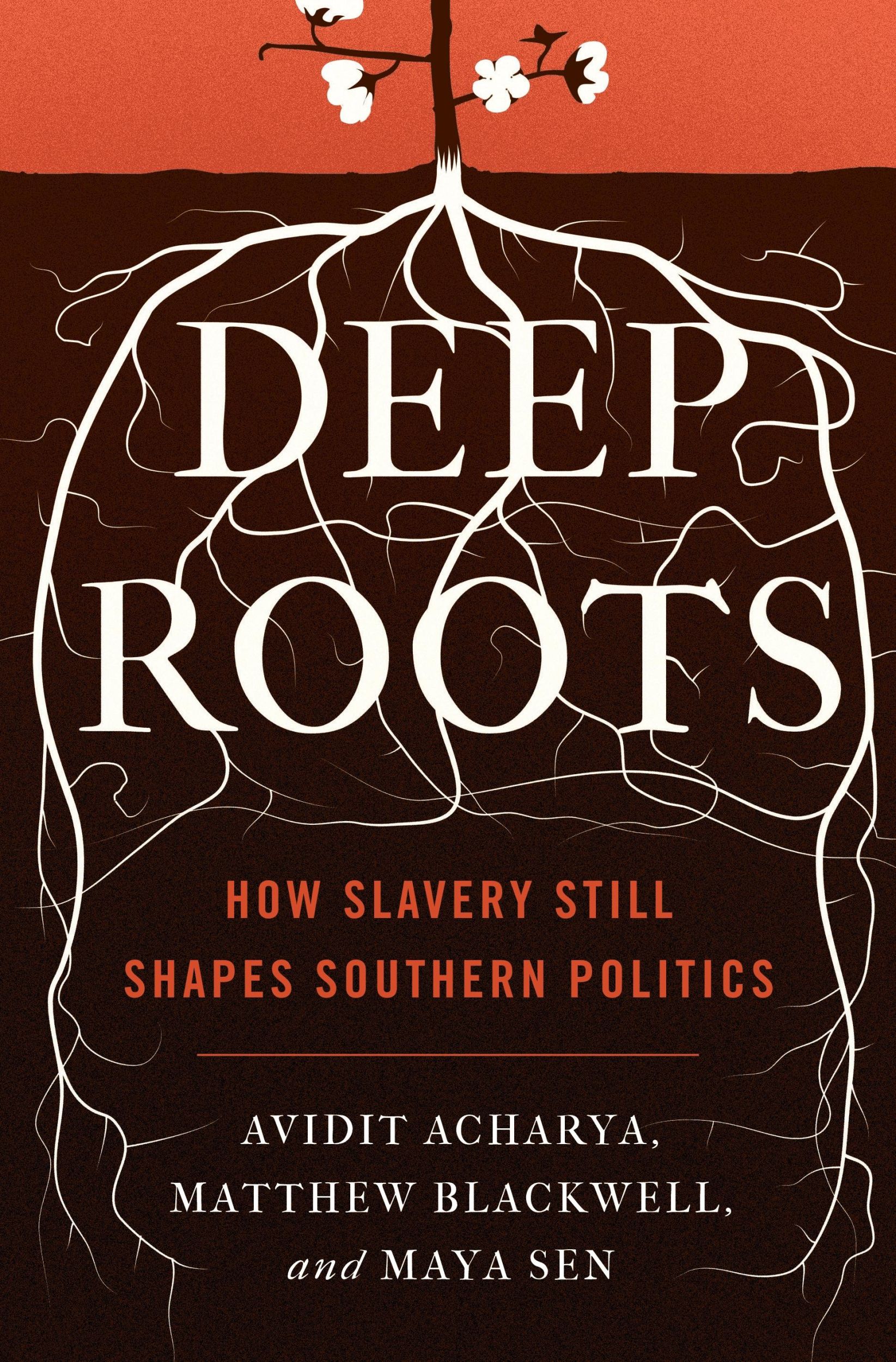 Cover: 9780691203720 | Deep Roots | How Slavery Still Shapes Southern Politics | Taschenbuch