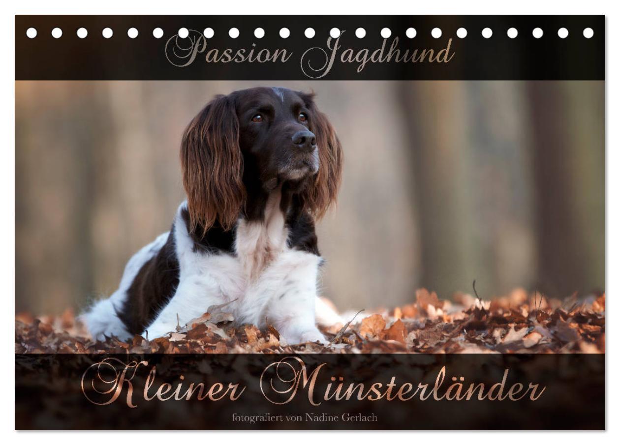 Cover: 9783435268429 | Passion Jagdhund - Kleiner Münsterländer (Tischkalender 2025 DIN A5...