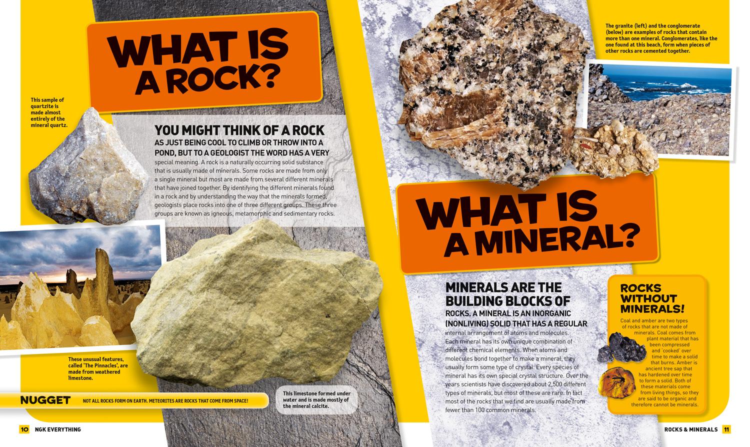 Bild: 9780008267834 | Everything: Rocks and Minerals | National Geographic Kids | Buch