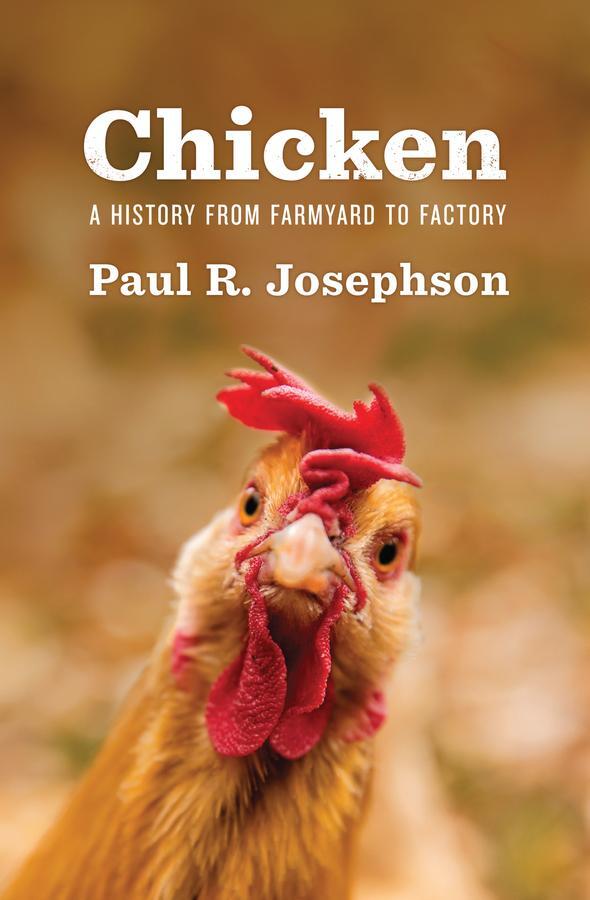 Cover: 9781509525911 | Chicken | A History from Farmyard to Factory | Paul R Josephson | Buch