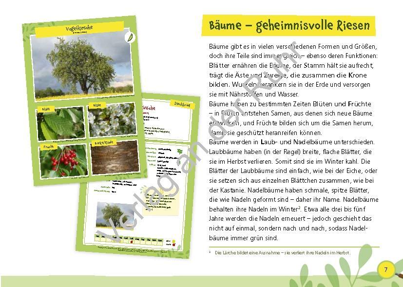 Bild: 9783834662101 | Paket: Heimische Bäume | Corinna Weinert (u. a.) | Taschenbuch | 2022