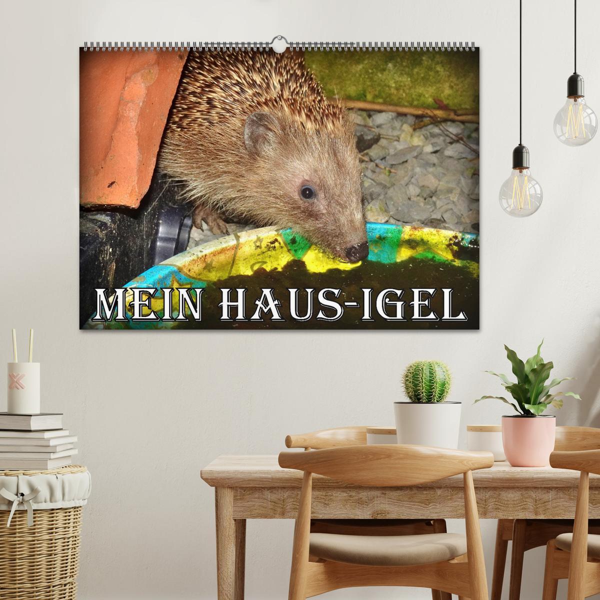 Bild: 9783457146279 | Mein Haus-Igel (Wandkalender 2025 DIN A2 quer), CALVENDO...