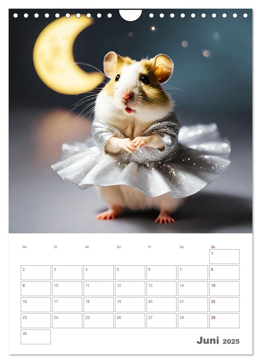 Bild: 9783383821066 | Ballerina Hamster - Eine Sinfonie aus zuckersüße KI Hamstern in...