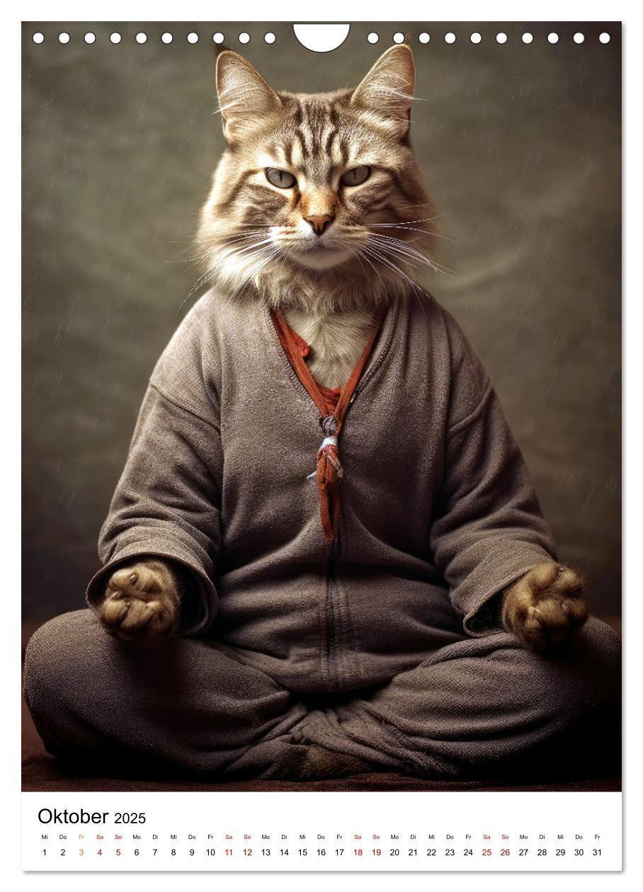 Bild: 9783435847167 | Miau Yoga (Wandkalender 2025 DIN A4 hoch), CALVENDO Monatskalender