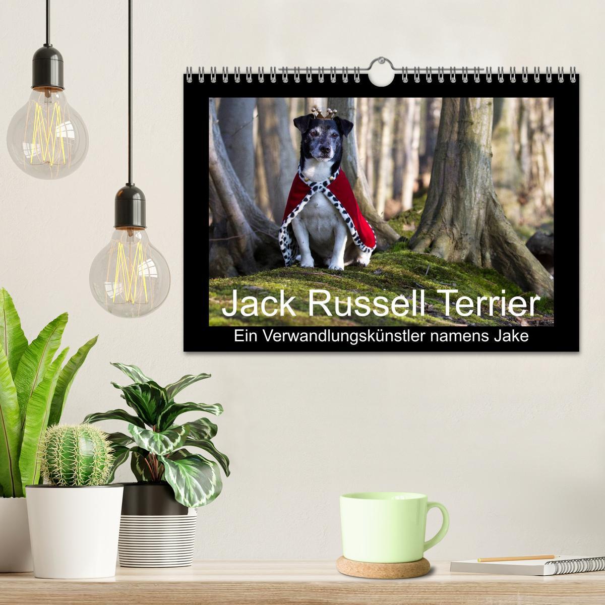 Bild: 9783435716111 | Jack Russell Terrier.....Ein Verwandlungskünstler namens Jake...