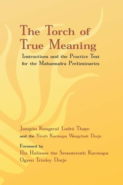 Cover: 9781934608524 | Torch of True Meaning | Jamgon Kongtrul Lodro Thaye (u. a.) | Buch