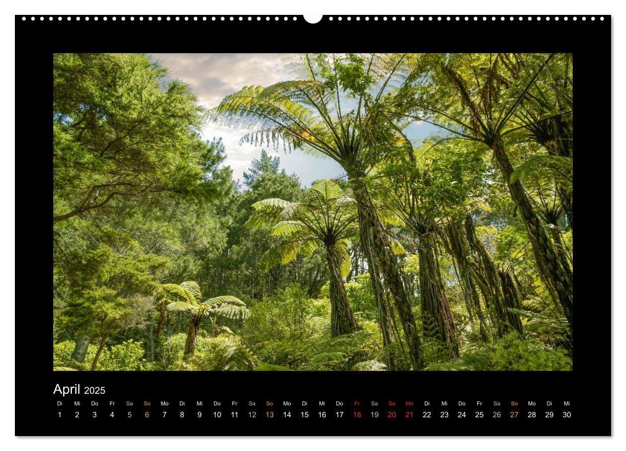 Bild: 9783435679096 | Neuseeland - Wunderwelt der Natur (Wandkalender 2025 DIN A2 quer),...