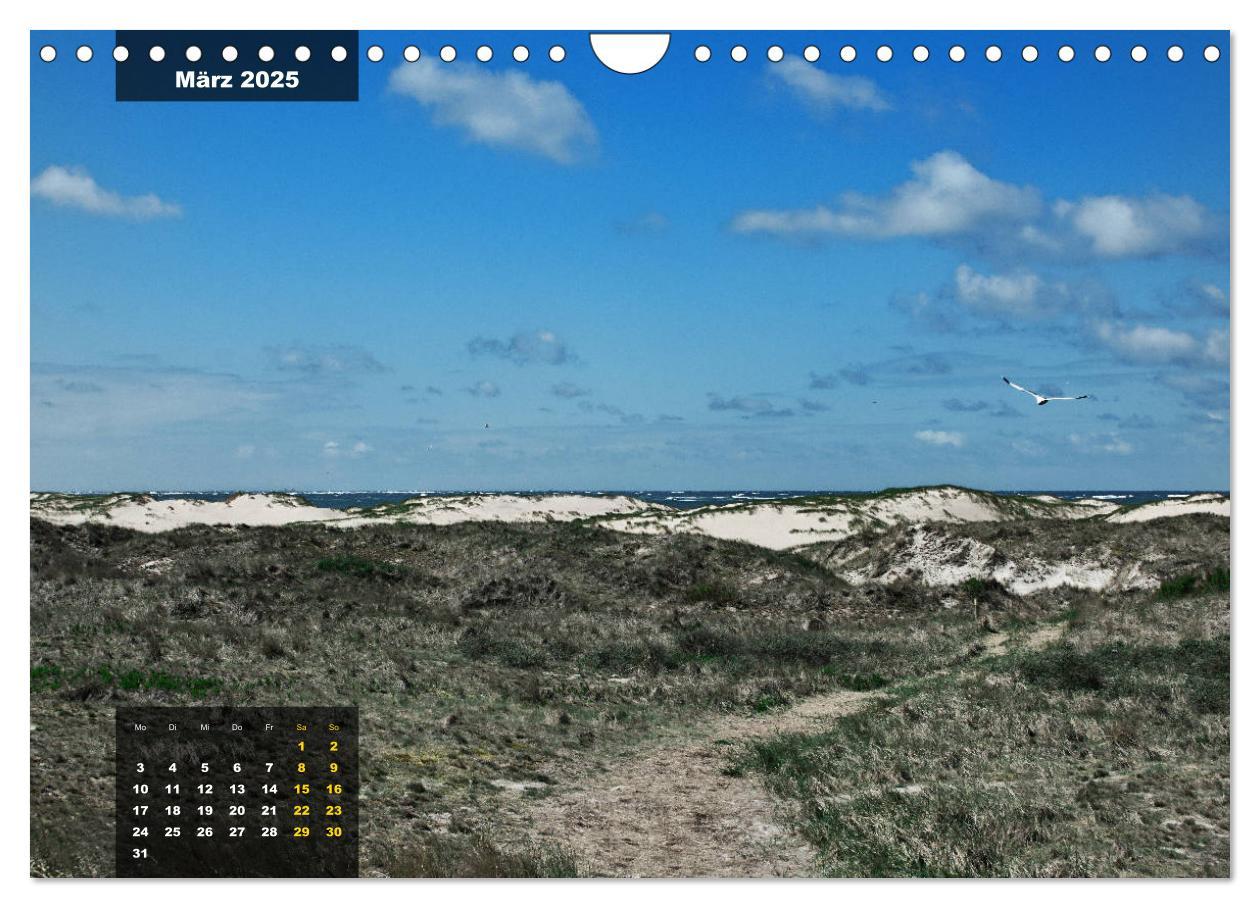 Bild: 9783435331802 | Texel Insel mit Charakter (Wandkalender 2025 DIN A4 quer), CALVENDO...