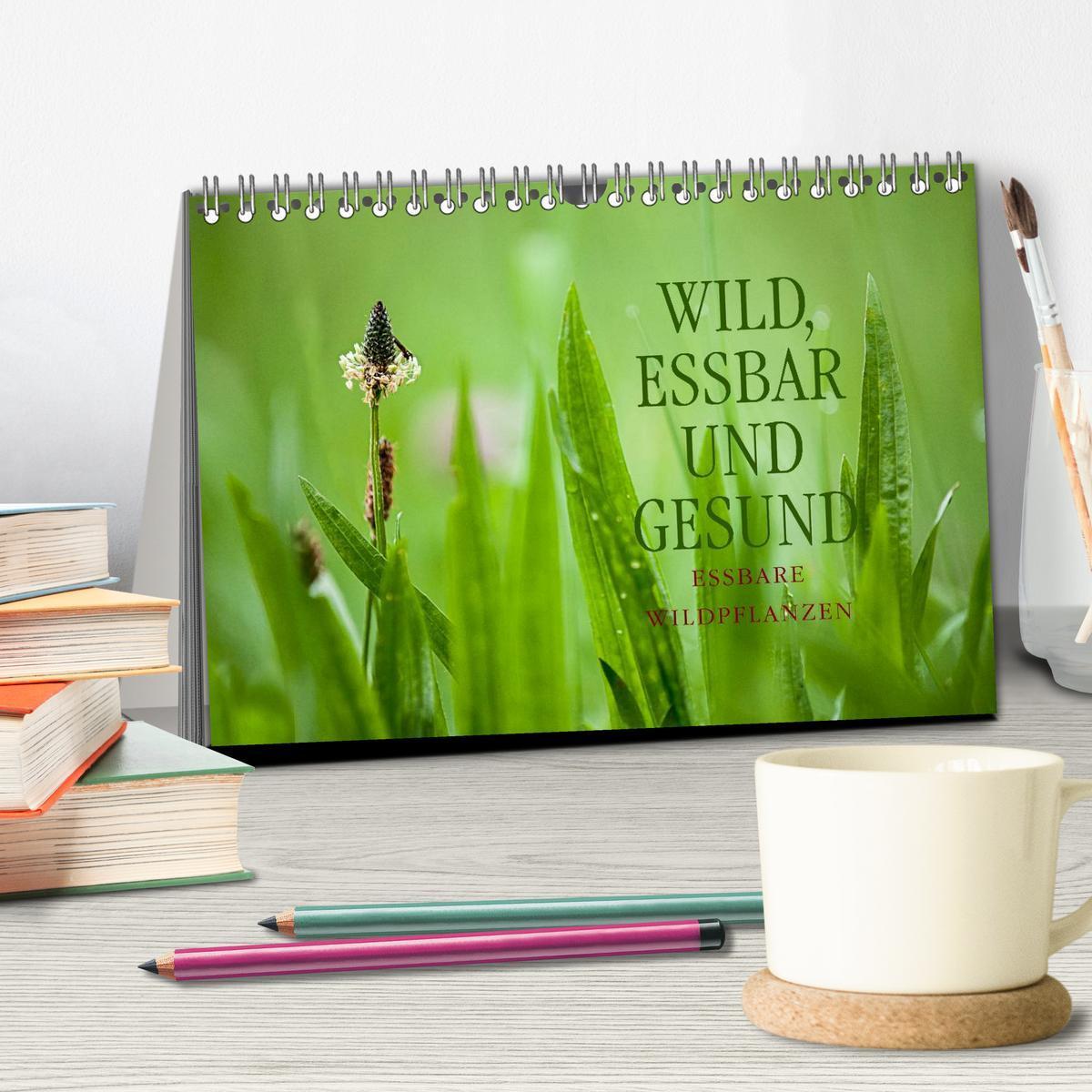 Bild: 9783435661688 | WILD, ESSBAR UND GESUND Essbare Wildpflanzen (Tischkalender 2025...